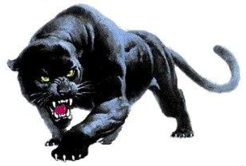 panther 